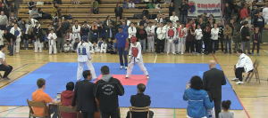 Austragungsort vom Taekwondo-Cup 2015 - die Sporthalle Schöneberg